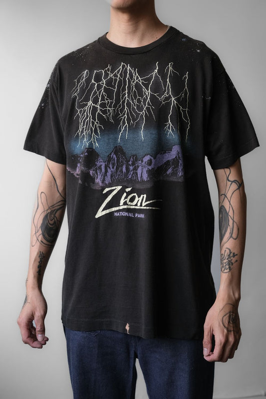 ヴィンテージ 90 年代 ザイオン国立公園 T シャツ シングルステッチ 国立公園プリント ショート T シャツ