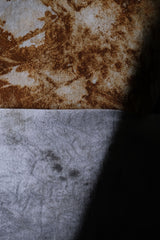 Ban Restructure Rust Tシャツ リメイクシリーズ Rust Tee (Pro Club) (ダメージなし)