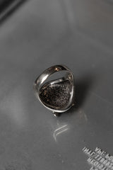 シルバーフライインセクトシグネットリング