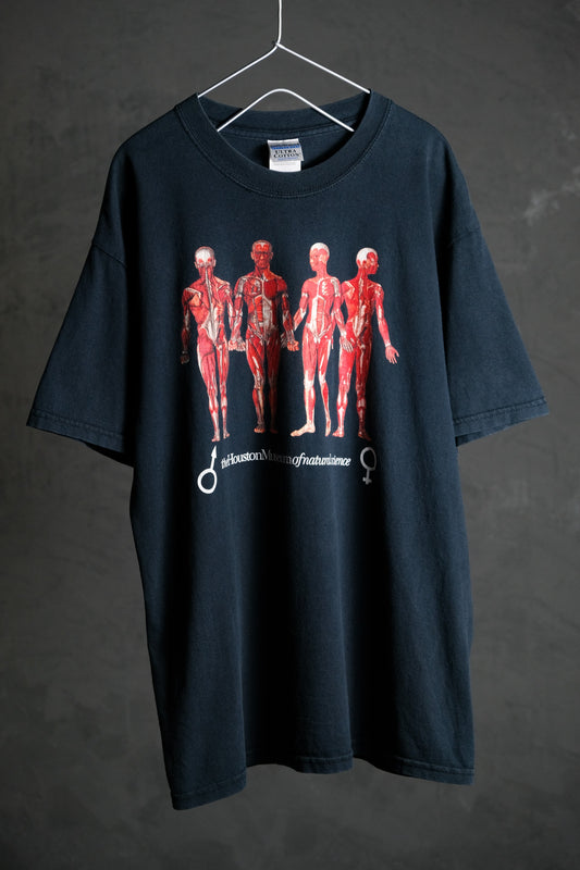Late 1990's Vintage Human Anatomy Tee Houston Museum of Natural Science Human Anatomy Print Short T