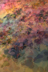 Greatful Dead 1989 ヴィンテージ ダンシング ベア タイダイ T シャツ アメリカのロック バンド デス フラワー カラー ダンシング ベア グループ T