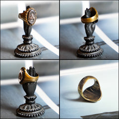 Sterling Silver & Brass Fly Ring fly engraved sterling silver and brass ring