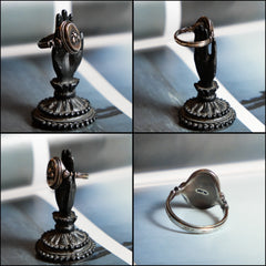 Sterling Silver & Brass Fly Ring fly engraved sterling silver and brass ring