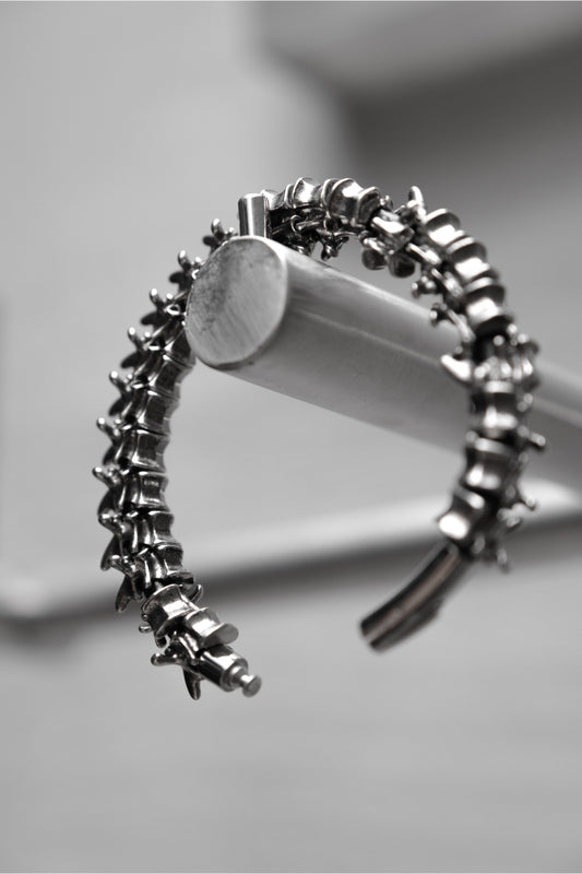 Skeleton Spine Gothic Punk Style Bracelet 歌德龐克風格 鈦鋼脊椎骨手鍊/手環