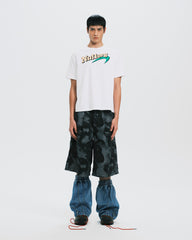 nul1.org  (nu-P67) 2026 Jorts Dragon