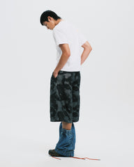 nul1.org  (nu-P67) 2026 Jorts Dragon